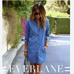 Everlane Blue Denim Midi Dress